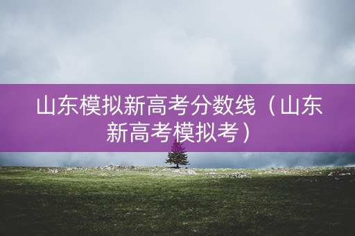 山东模拟新高考分数线（山东新高考模拟考）