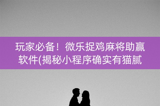 玩家必备！微乐捉鸡麻将助赢软件(揭秘小程序确实有猫腻)