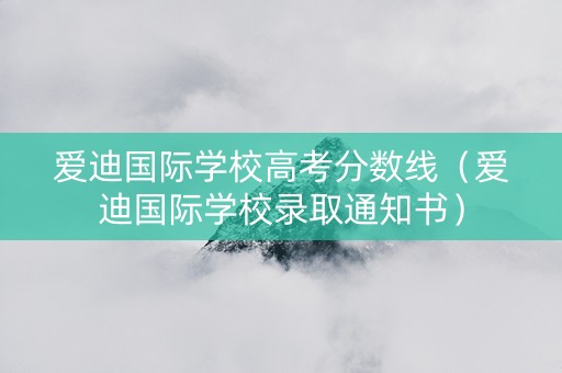 爱迪国际学校高考分数线（爱迪国际学校录取通知书）