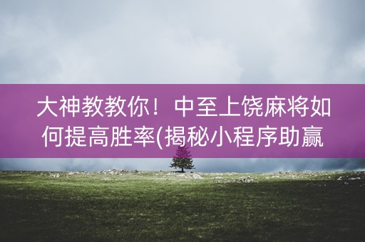 大神教教你！中至上饶麻将如何提高胜率(揭秘小程序助赢软件)