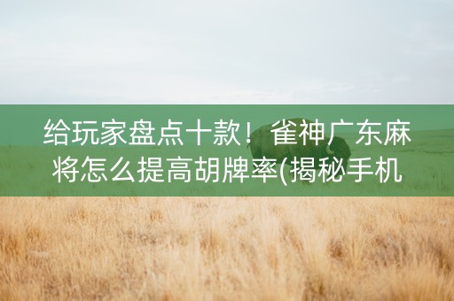 给玩家盘点十款！雀神广东麻将怎么提高胡牌率(揭秘手机上提高胜率)