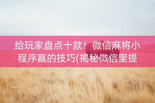 给玩家盘点十款！微信麻将小程序赢的技巧(揭秘微信里提高赢的概率)