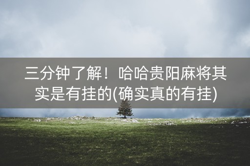三分钟了解！哈哈贵阳麻将其实是有挂的(确实真的有挂)