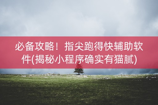 必备攻略！指尖跑得快辅助软件(揭秘小程序确实有猫腻)