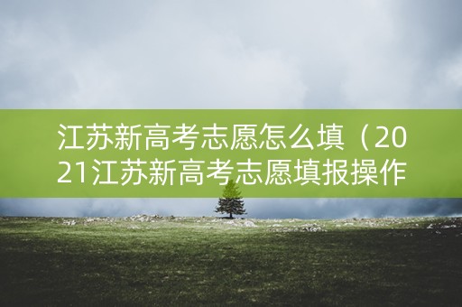 江苏新高考志愿怎么填（2021江苏新高考志愿填报操作视频）