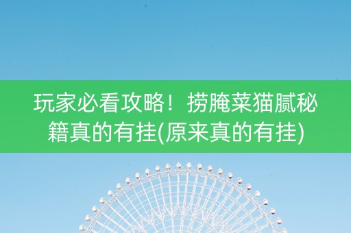 玩家必看攻略！捞腌菜猫腻秘籍真的有挂(原来真的有挂)