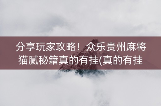 分享玩家攻略！众乐贵州麻将猫腻秘籍真的有挂(真的有挂)