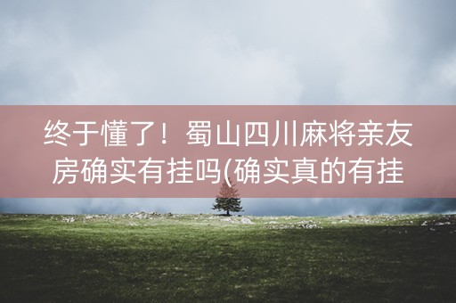 终于懂了！蜀山四川麻将亲友房确实有挂吗(确实真的有挂)