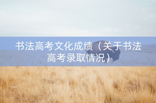 书法高考文化成绩（关于书法高考录取情况）