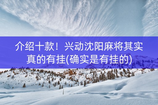 介绍十款！兴动沈阳麻将其实真的有挂(确实是有挂的)