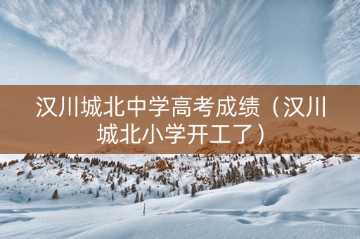 汉川城北中学高考成绩（汉川城北小学开工了）