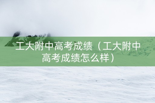 工大附中高考成绩（工大附中高考成绩怎么样）