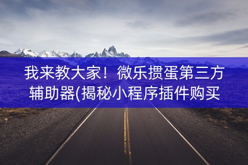 我来教大家！微乐掼蛋第三方辅助器(揭秘小程序插件购买)
