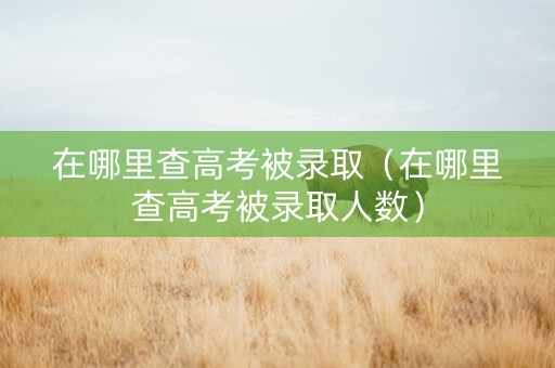 在哪里查高考被录取（在哪里查高考被录取人数）