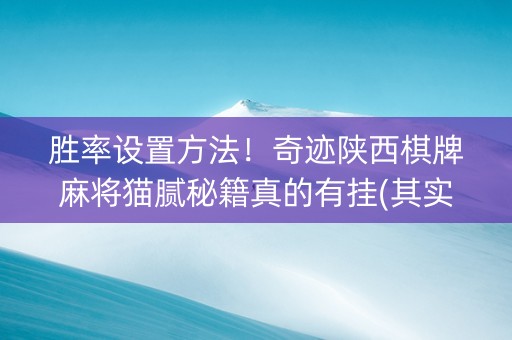 胜率设置方法！奇迹陕西棋牌麻将猫腻秘籍真的有挂(其实真的有挂)