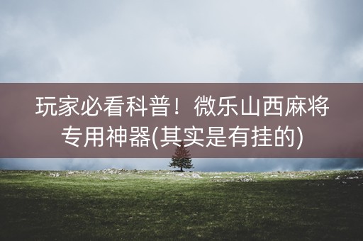 玩家必看科普！微乐山西麻将专用神器(其实是有挂的)