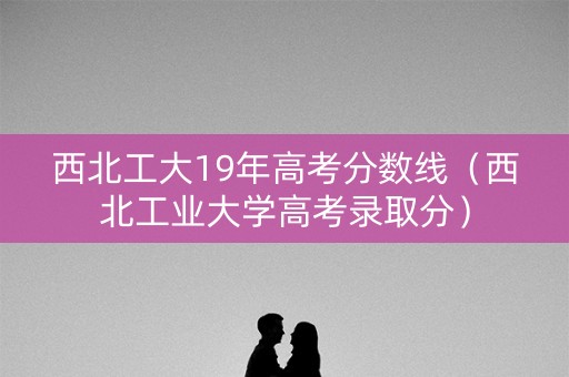 西北工大19年高考分数线（西北工业大学高考录取分）