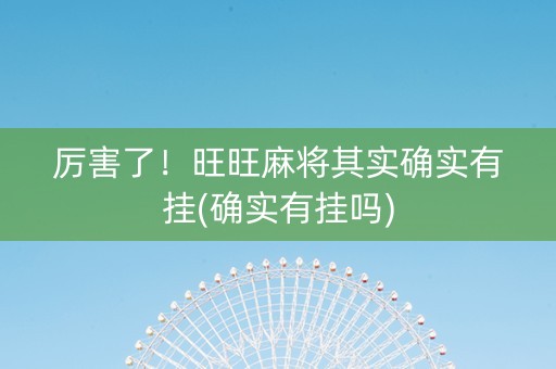 厉害了！旺旺麻将其实确实有挂(确实有挂吗)