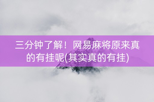 三分钟了解！网易麻将原来真的有挂呢(其实真的有挂)