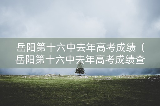 岳阳第十六中去年高考成绩（岳阳第十六中去年高考成绩查询）