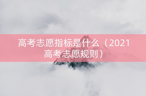 高考志愿指标是什么（2021高考志愿规则）