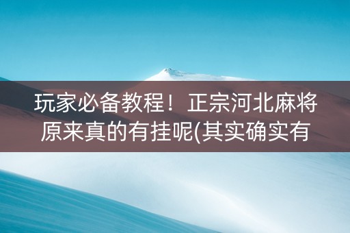 玩家必备教程！正宗河北麻将原来真的有挂呢(其实确实有挂)