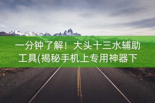 一分钟了解！大头十三水辅助工具(揭秘手机上专用神器下载)