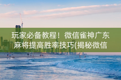 玩家必备教程！微信雀神广东麻将提高胜率技巧(揭秘微信里输赢规律)