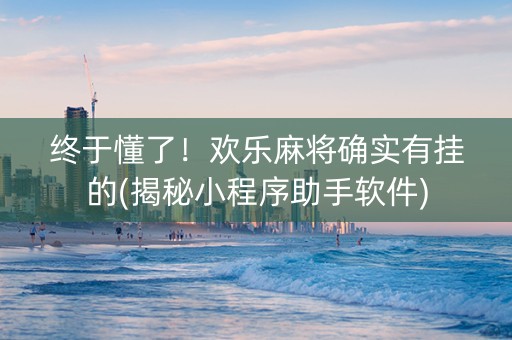 终于懂了！欢乐麻将确实有挂的(揭秘小程序助手软件)
