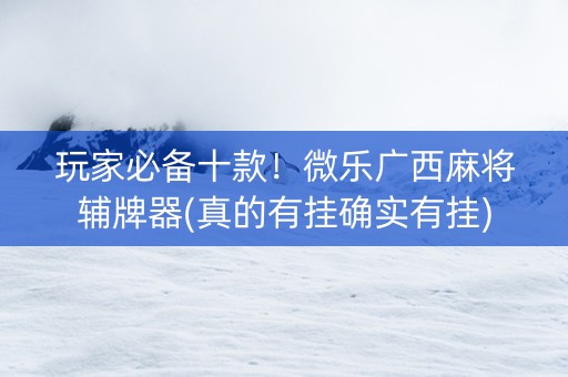 玩家必备十款！微乐广西麻将辅牌器(真的有挂确实有挂)