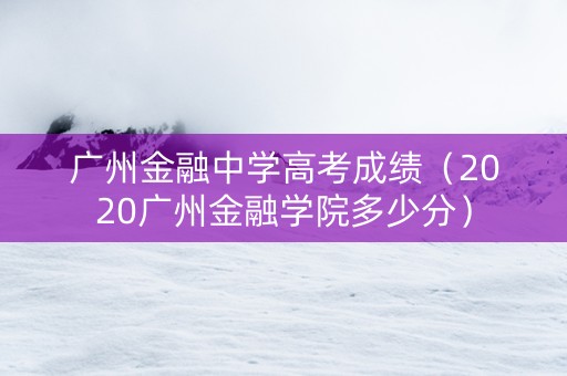广州金融中学高考成绩（2020广州金融学院多少分）
