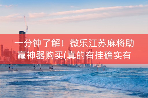 一分钟了解！微乐江苏麻将助赢神器购买(真的有挂确实有挂)