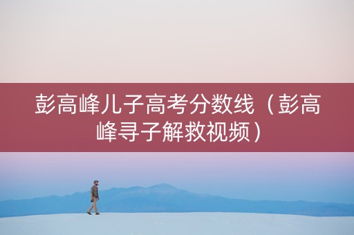 彭高峰儿子高考分数线（彭高峰寻子解救视频）