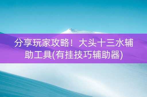 分享玩家攻略！大头十三水辅助工具(有挂技巧辅助器)