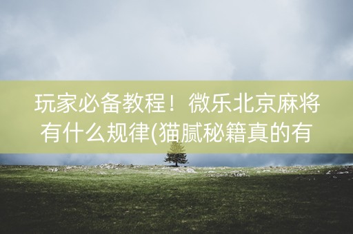 玩家必备教程！微乐北京麻将有什么规律(猫腻秘籍真的有挂)