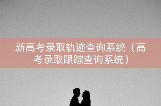 新高考录取轨迹查询系统（高考录取跟踪查询系统）