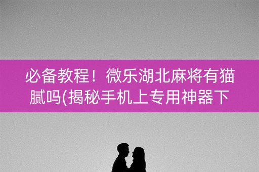 必备教程！微乐湖北麻将有猫腻吗(揭秘手机上专用神器下载)
