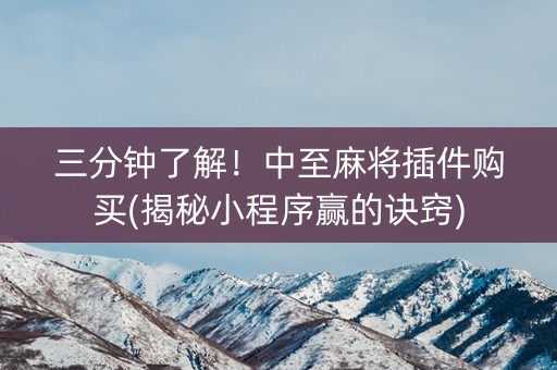 三分钟了解！中至麻将插件购买(揭秘小程序赢的诀窍)