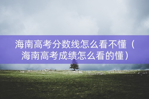 海南高考分数线怎么看不懂（海南高考成绩怎么看的懂）