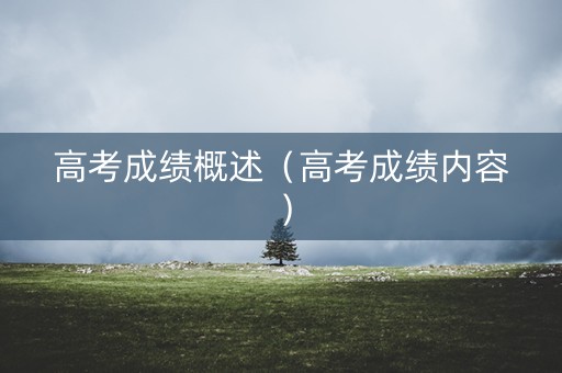 高考成绩概述（高考成绩内容）