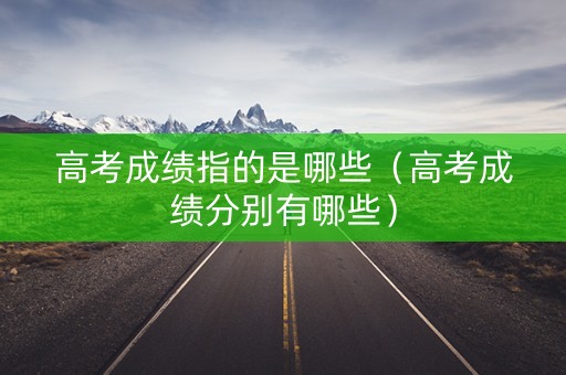 高考成绩指的是哪些（高考成绩分别有哪些）