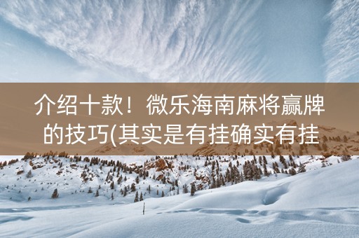 介绍十款！微乐海南麻将赢牌的技巧(其实是有挂确实有挂)