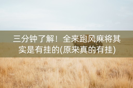 三分钟了解！全来跑风麻将其实是有挂的(原来真的有挂)