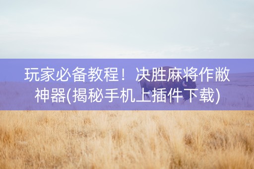 玩家必备教程！决胜麻将作敝神器(揭秘手机上插件下载)