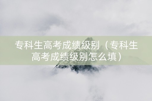 专科生高考成绩级别（专科生高考成绩级别怎么填）