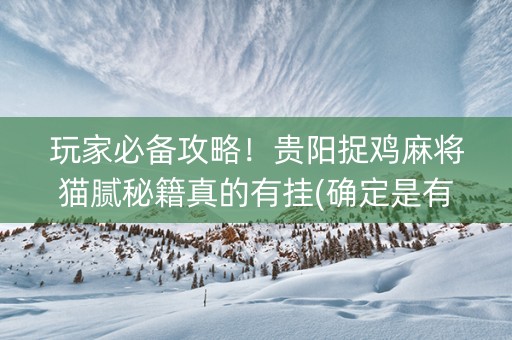 玩家必备攻略！贵阳捉鸡麻将猫腻秘籍真的有挂(确定是有挂)
