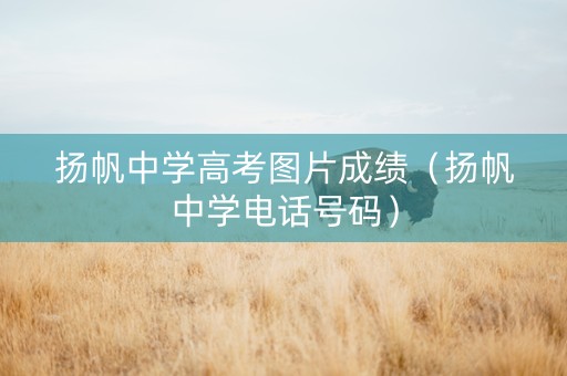 扬帆中学高考图片成绩（扬帆中学电话号码）