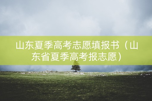 山东夏季高考志愿填报书（山东省夏季高考报志愿）