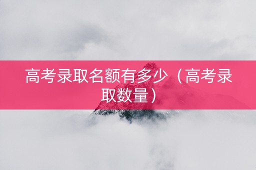 高考录取名额有多少（高考录取数量）