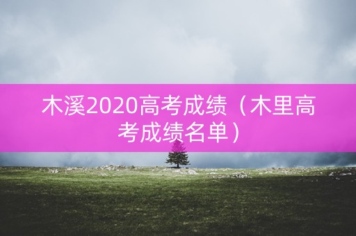 木溪2020高考成绩（木里高考成绩名单）